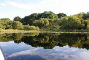 Black Loch