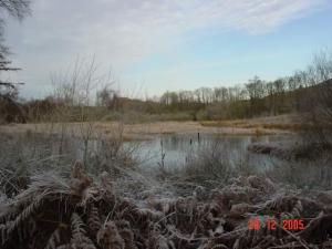 Gull Loch