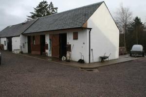 Horses in Stables