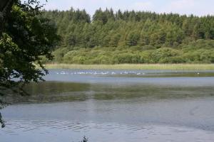 White Loch