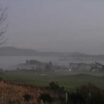 Morning Mist
