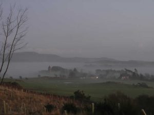 Morning Mist
