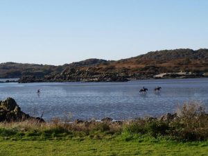Rough Island
