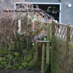 Bird Table